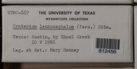 Image Associated With the Occurence